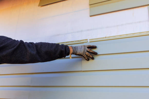 Best Custom Trim and Detailing for Siding  in Springfield, MO